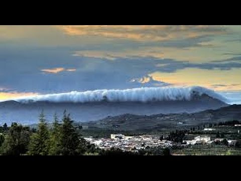 Partite Iva dopo il “Tsumani Coronavirus”