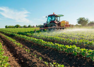 Regione Lombardia: Aiuti concreti al Settore Agricolo