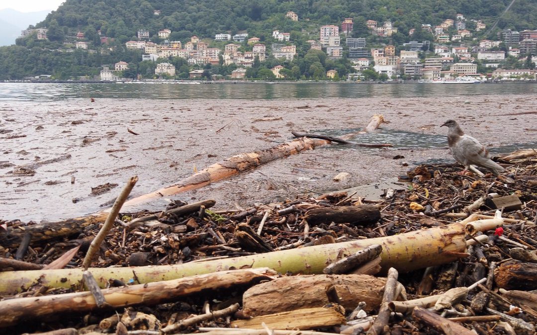 in Lombardia danni per 252 milioni – www.lombardianotizie.online
