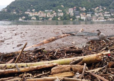 in Lombardia danni per 252 milioni – www.lombardianotizie.online