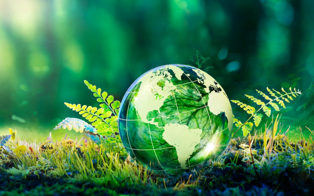 Ambiente 26 settembre ‘Giornata del verde pulito e ‘Puliamo il mondo’ – www.lombardianotizie.online