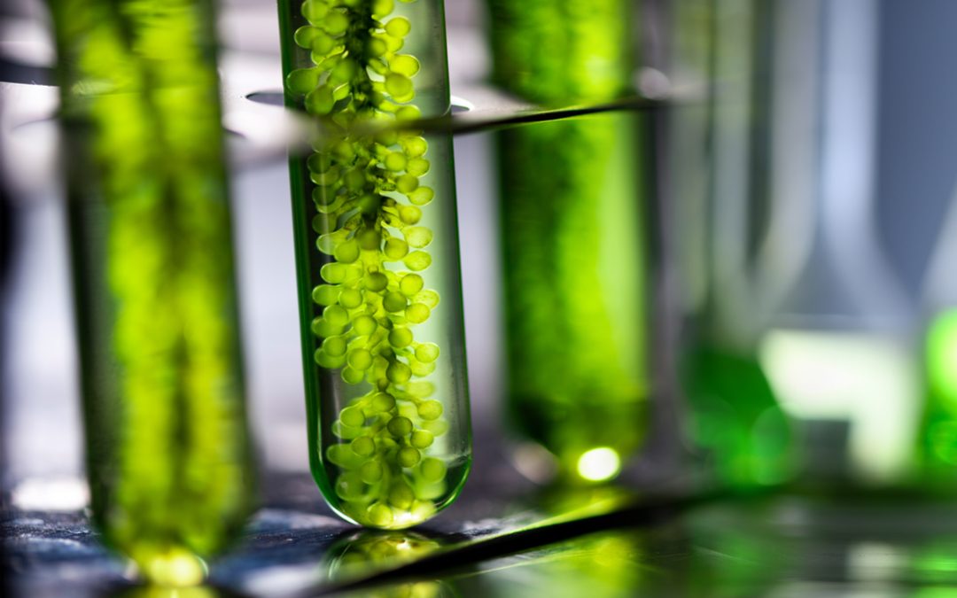 Premio ‘Lombardia è ricerca’ 2021 a Joliot, Bonchio e Antonietti – www.lombardianotizie.online