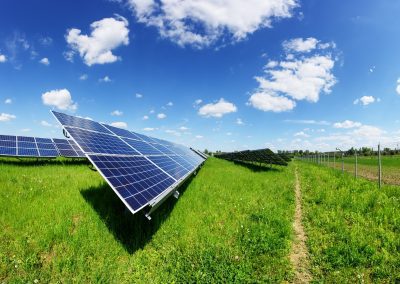 dibattito su basi scientifiche, no commedie – www.lombardianotizie.online