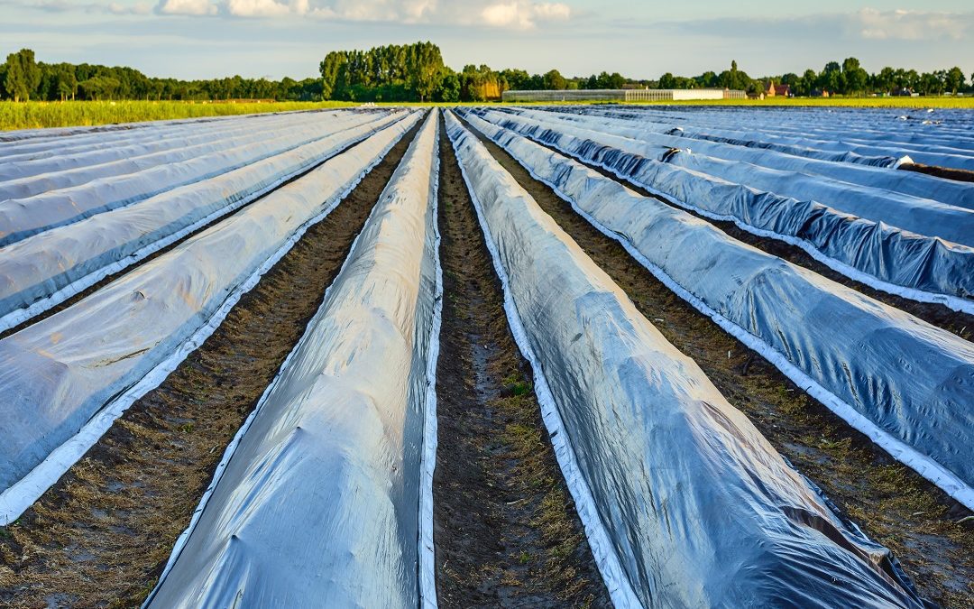 Chiediamo venga cancellata del tutto – www.lombardianotizie.online