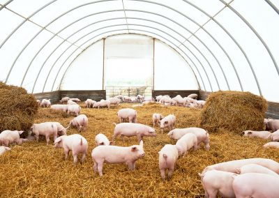 serve unità filiera e lavoro a indice nazionale prezzi – www.lombardianotizie.online