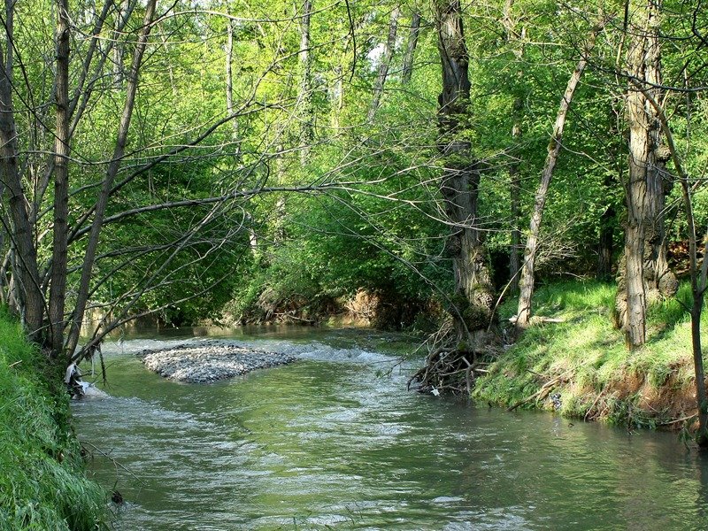 Parco Pineta, da Regione somme per sicurezza urbana e videocamere – www.lombardianotizie.online