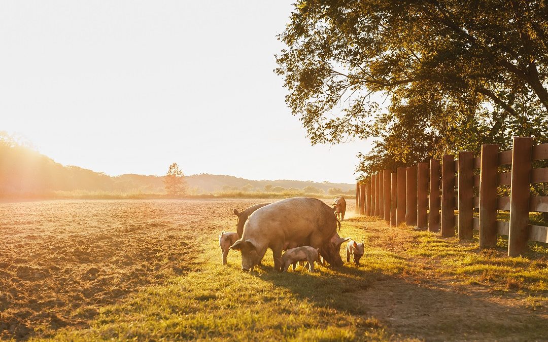 Decreto su sistema qualità non sia burocrazia – www.lombardianotizie.online