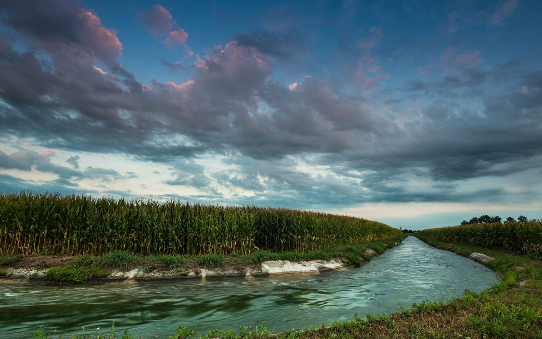 16,8 milioni per finanziare 20 progetti al 100% – www.lombardianotizie.online