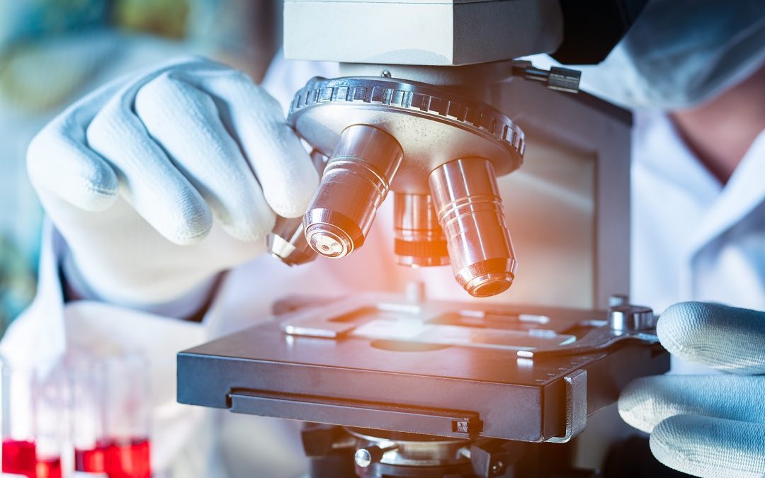 Fondazione biomedica approvato Piano2021 da 26 milioni – www.lombardianotizie.online