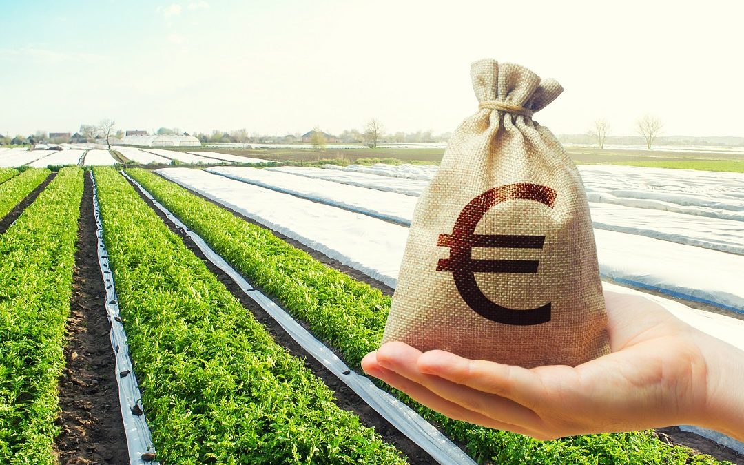 Primo semestre 2021 agroalimentare lombardo, export cresciuto del 12,2% – www.lombardianotizie.online