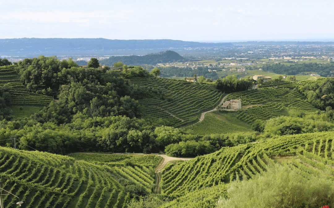 Regione Lombardia Contributi a fondo perduto fino al 100% per le imprese agricole