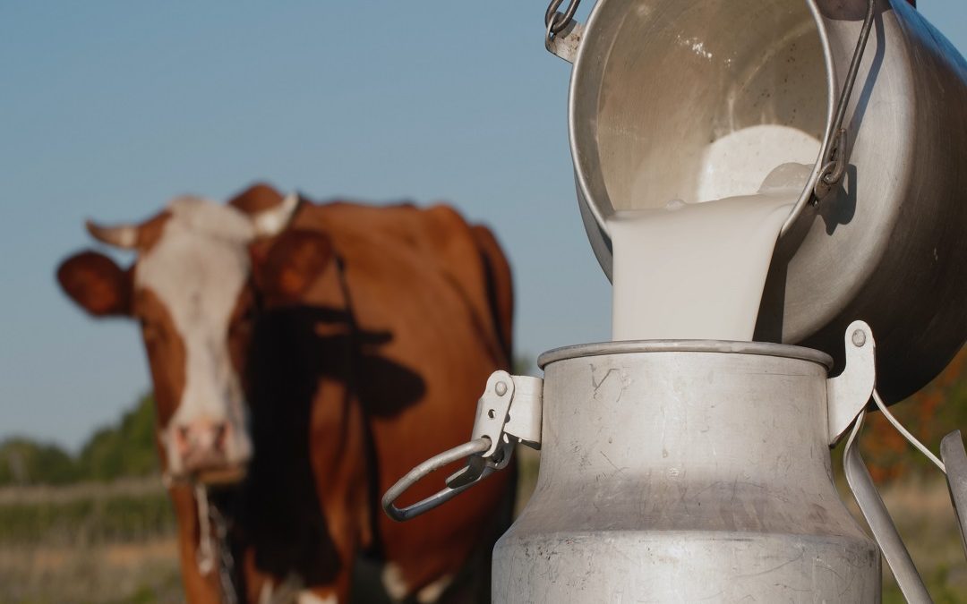 Lombardia sia al Tavolo nazionale – www.lombardianotizie.online