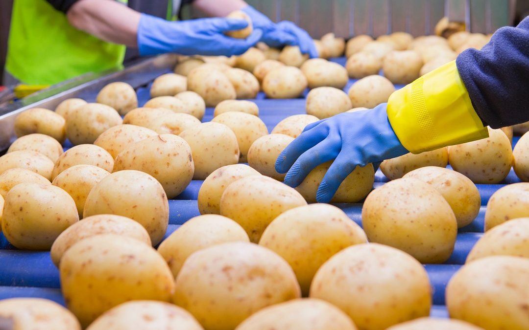 Agroalimentare, 1,5 milioni per aumentare rapporto diretto con consumatori – www.lombardianotizie.online