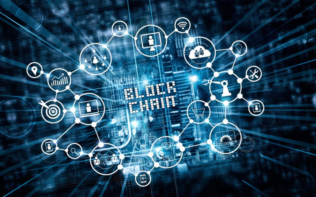 Innovazione. Con tecnologia blockchain valorizzate filiere agroalimentari – Lombardia Notizie Online – www.lombardianotizie.online