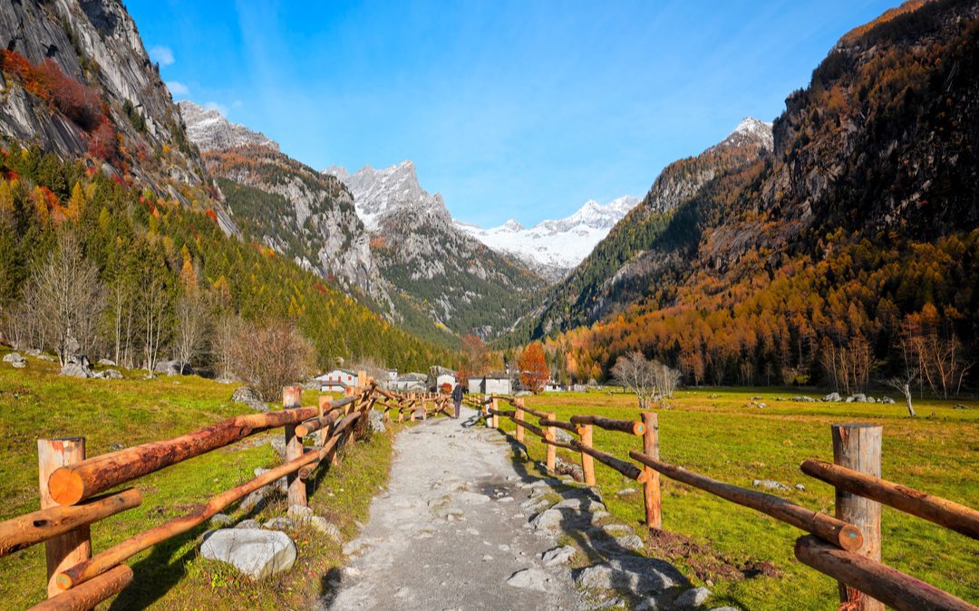 13,5 milioni a Comunità montane per misure forestali – Lombardia Notizie Online – www.lombardianotizie.online