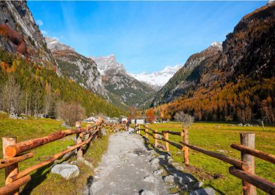 13,5 milioni a Comunità montane per misure forestali – Lombardia Notizie Online – www.lombardianotizie.online