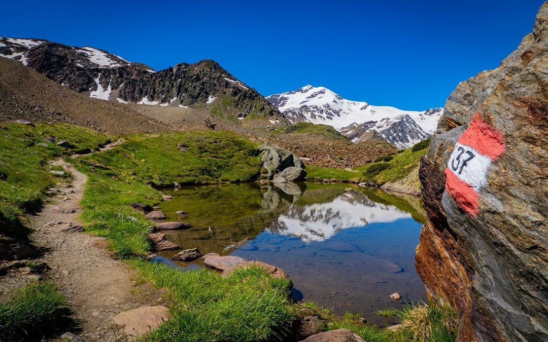 ok a schema convenzione per interventi per ripresa – Lombardia Notizie Online – www.lombardianotizie.online