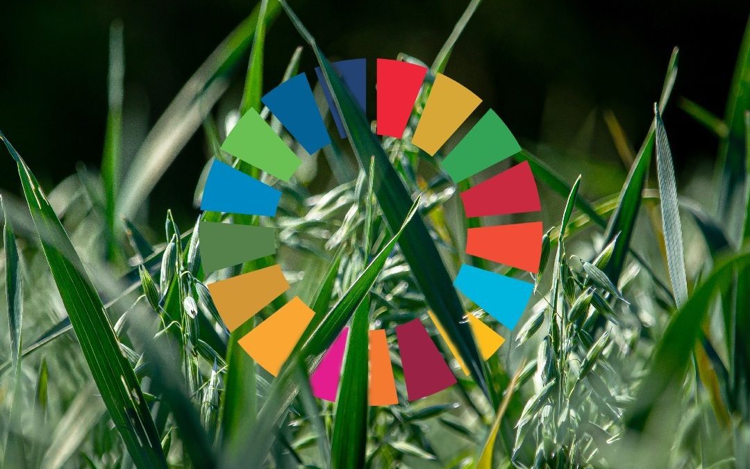 da giovedì ‘Qui cresce il futuro’ – Lombardia Notizie Online – www.lombardianotizie.online