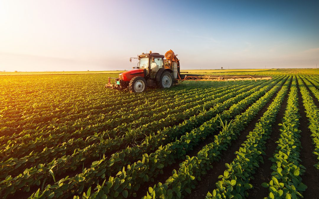 Agricoltura, novità per la gestione dei blocchi agli spandimenti – Lombardia Notizie Online – www.lombardianotizie.online