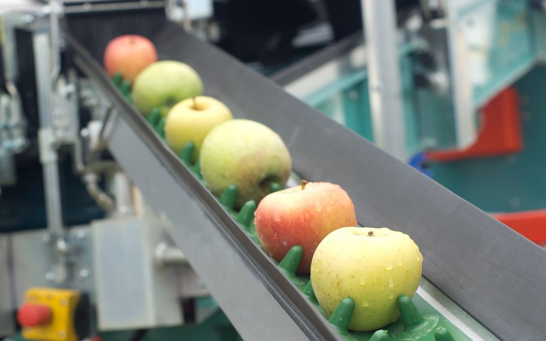 25 milioni per trasformare e commercializzare prodotti agricoli – Lombardia Notizie Online – www.lombardianotizie.online