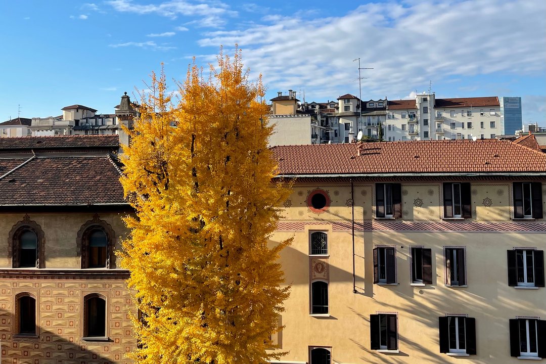 Casa-Milanese-autunnale.jpg