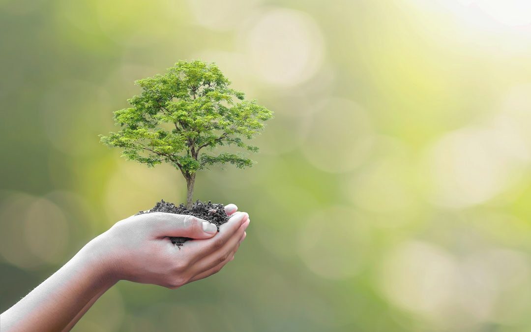 Biodiversità bando 3,5 milioni per valorizzare ecosistemi e aree protette – Lombardia Notizie Online – www.lombardianotizie.online