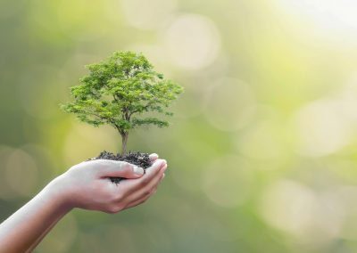 Biodiversità bando 3,5 milioni per valorizzare ecosistemi e aree protette – Lombardia Notizie Online – www.lombardianotizie.online