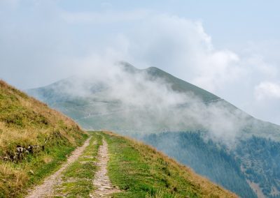 Strade agro-silvo-pastorali, non è previsto il divieto assoluto al traffico – Lombardia Notizie Online – www.lombardianotizie.online