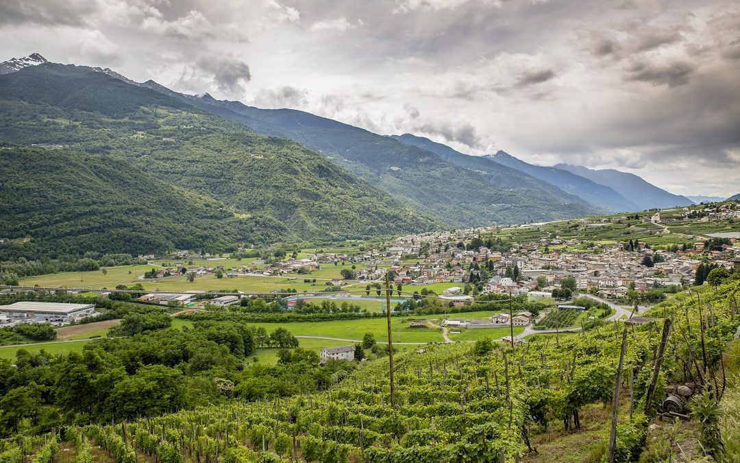 da Regione 10,5 milioni per funzionamento 2022 – Lombardia Notizie Online – www.lombardianotizie.online