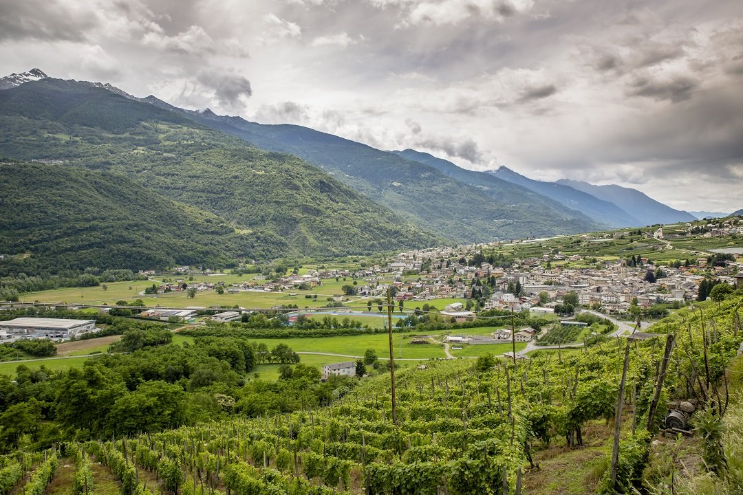 Valtellina-Comunita-Montana.jpg