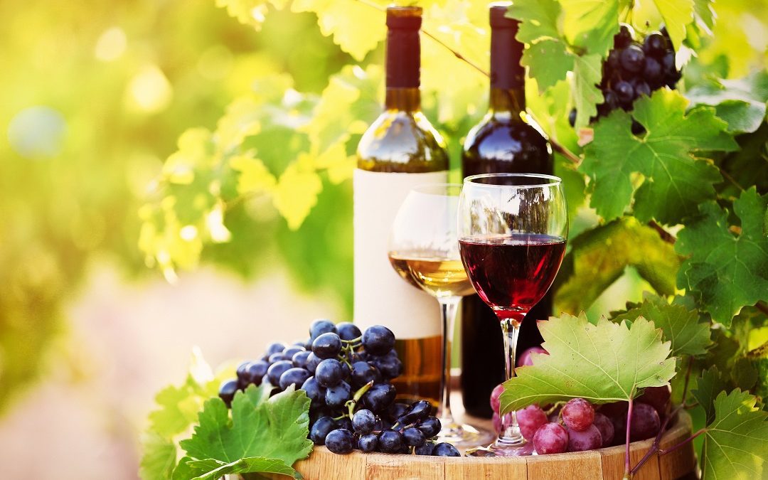 Vino promuove territorio e turismo, accordo Ascovilo-Strade vini e sapori – Lombardia Notizie Online – www.lombardianotizie.online