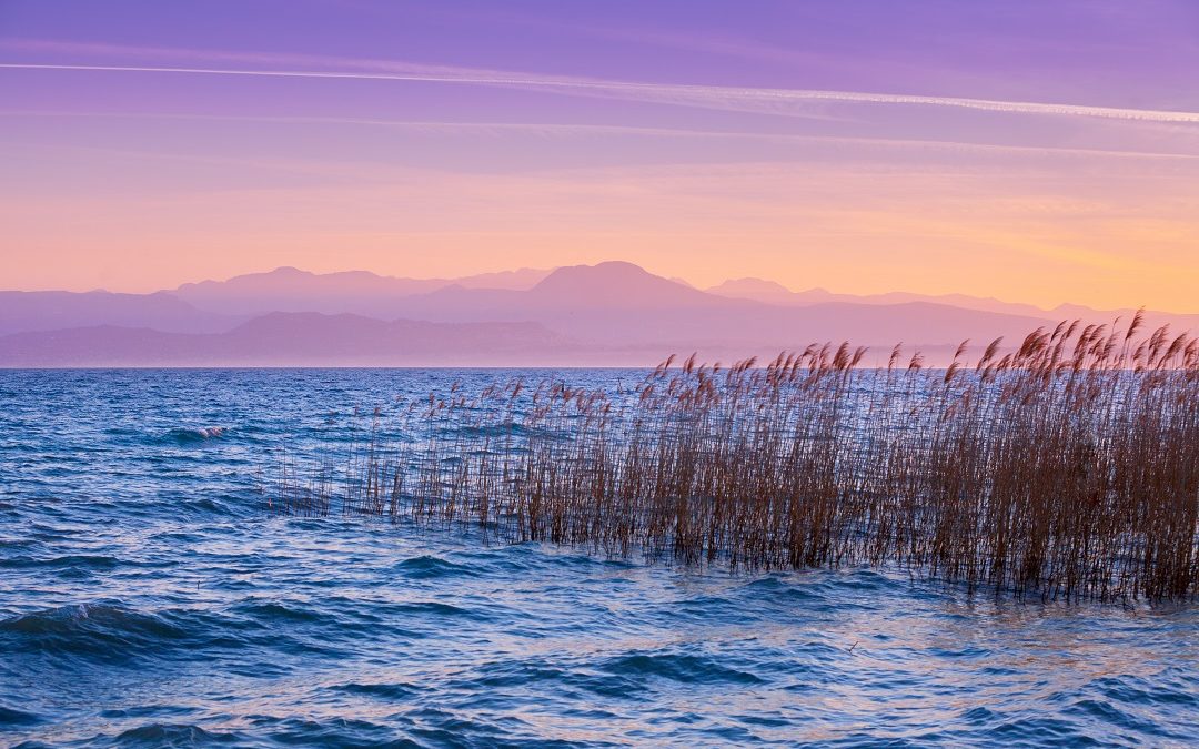 Lombardia stanzia altri 24 milioni di euro per risanamento acque laghi – Lombardia Notizie Online – www.lombardianotizie.online
