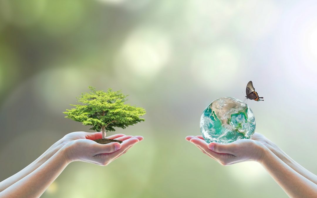 Lombardia investe risorse in ‘biodiversità’, ora inserita in Costituzione – Lombardia Notizie Online – www.lombardianotizie.online