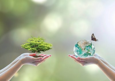 Lombardia investe risorse in ‘biodiversità’, ora inserita in Costituzione – Lombardia Notizie Online – www.lombardianotizie.online