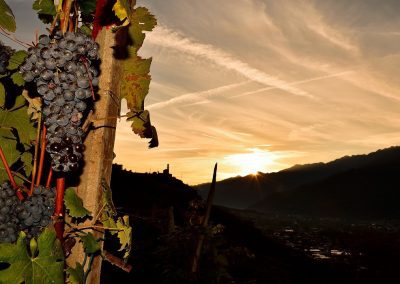 14 progetti Arest ammessi a fase negoziazione – Lombardia Notizie Online – www.lombardianotizie.online