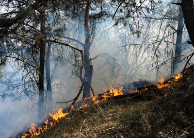 allerta rossa per rischio incendi boschivi – Lombardia Notizie Online – www.lombardianotizie.online