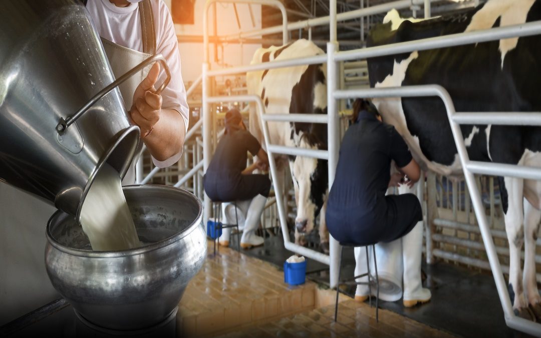 In scostamento di bilancio siano previsti aiuti alla filiera – Lombardia Notizie Online – www.lombardianotizie.online