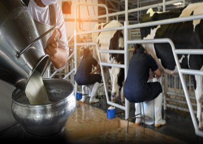 In scostamento di bilancio siano previsti aiuti alla filiera – Lombardia Notizie Online – www.lombardianotizie.online