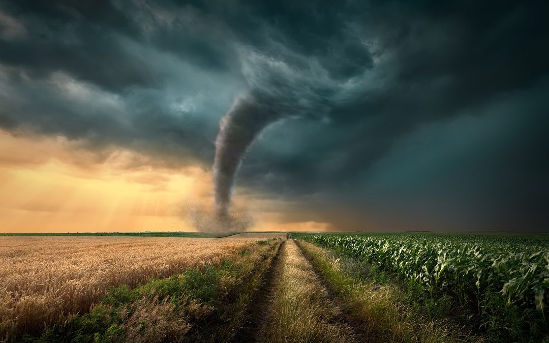 Riconosciuta eccezionalità tromba d’aria – Lombardia Notizie Online – www.lombardianotizie.online