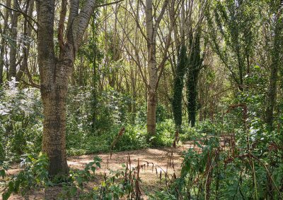 Biodiversità, bando da 3.5 milioni per salvare specie animali e ecosistemi – Lombardia Notizie Online – www.lombardianotizie.online