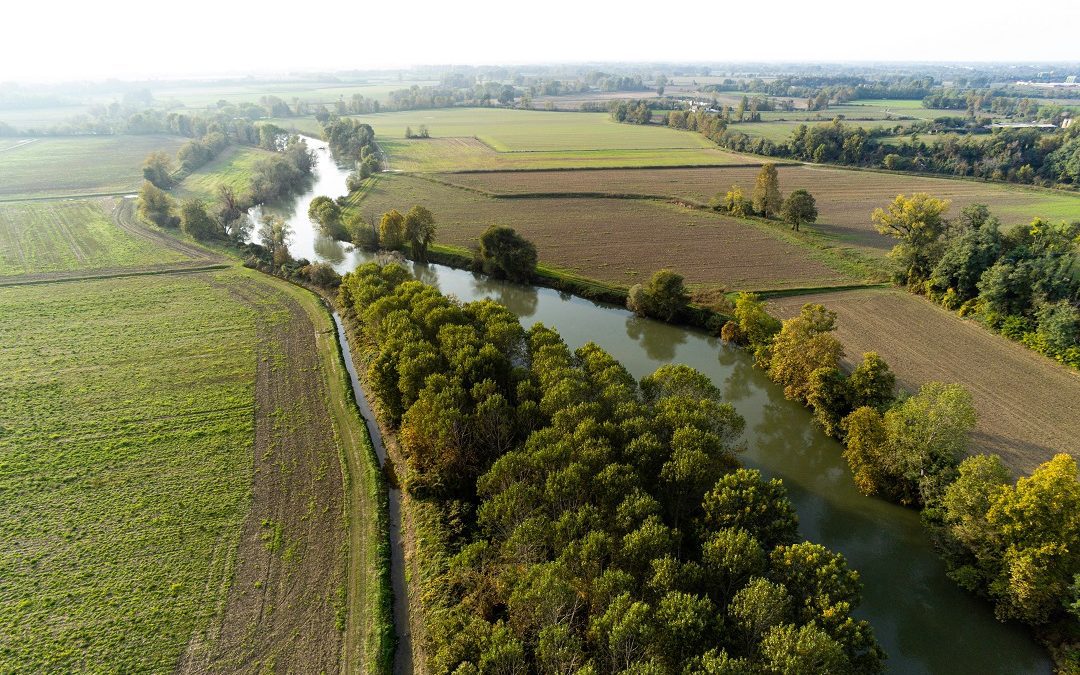 Disponibili a sviluppare progetti del territorio  – Lombardia Notizie Online – www.lombardianotizie.online