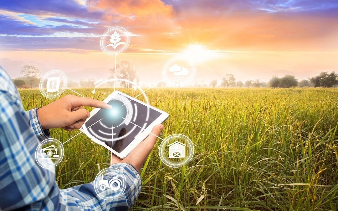 Salvi occupazione e tecnologia – Lombardia Notizie Online – www.lombardianotizie.online
