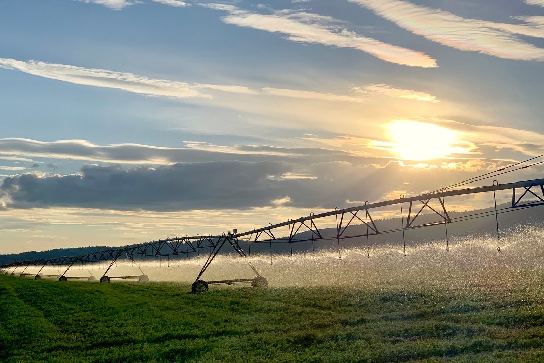 agricoltura-sostenibile.jpg