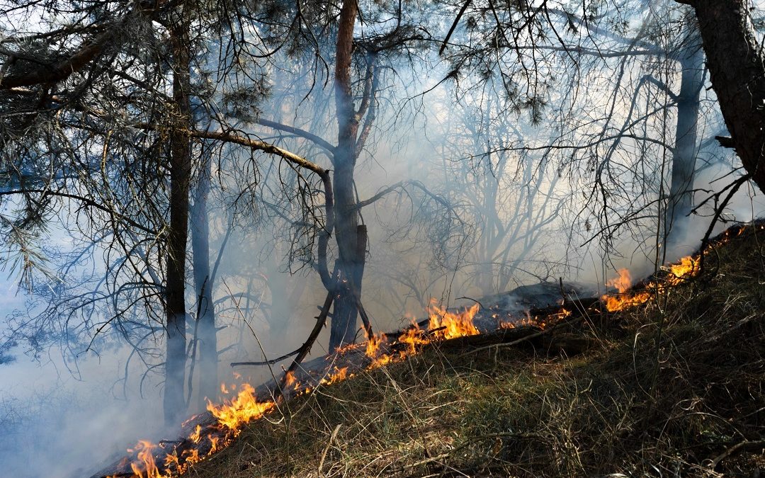 Allerta rossa in aree prealpine – Lombardia Notizie Online – www.lombardianotizie.online
