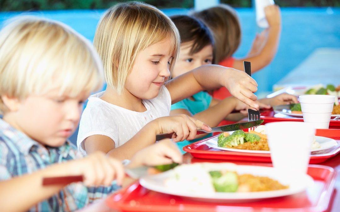 Prodotti territoriali per educare i ragazzi – Lombardia Notizie Online – www.lombardianotizie.online