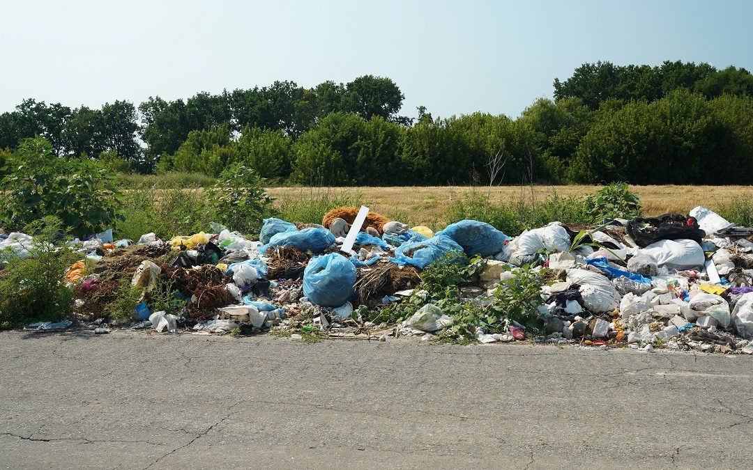 Rifiuti abbandonati per strada, da Regione 2,4 milioni per il contrasto – Lombardia Notizie Online – www.lombardianotizie.online