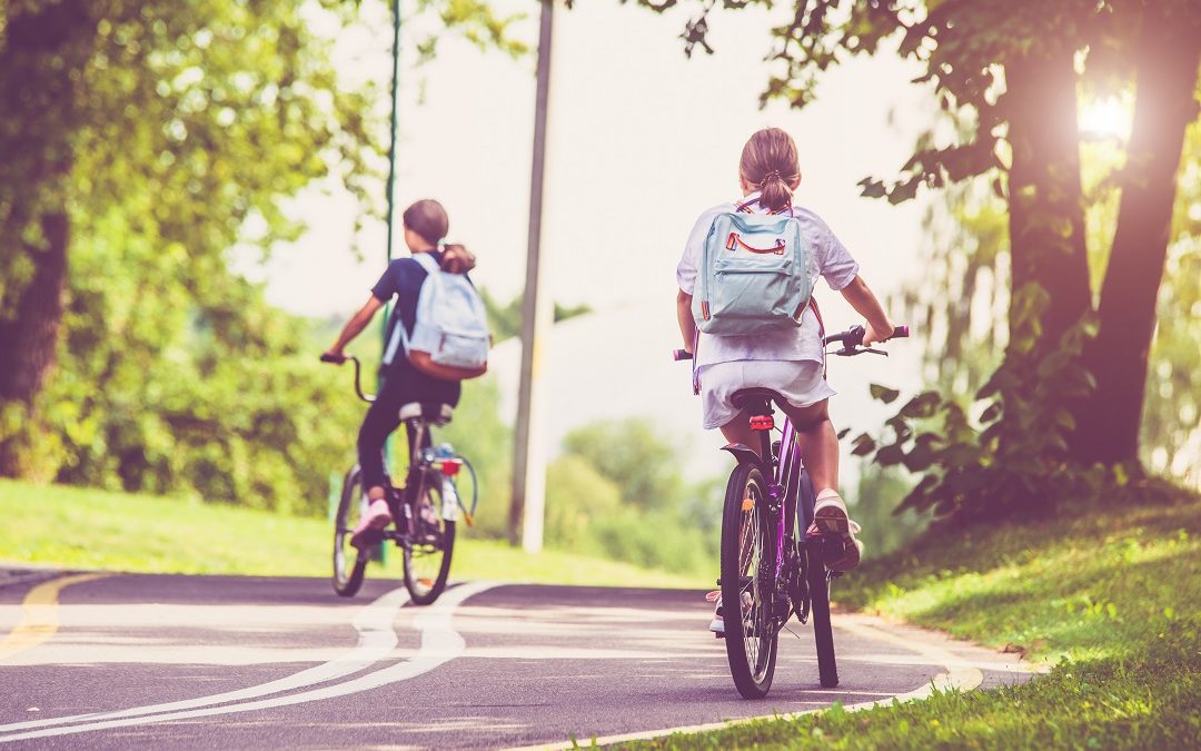 La Regione stanzia 24 milioni per la tratta pavese della Ciclovia Vento – Lombardia Notizie Online – www.lombardianotizie.online