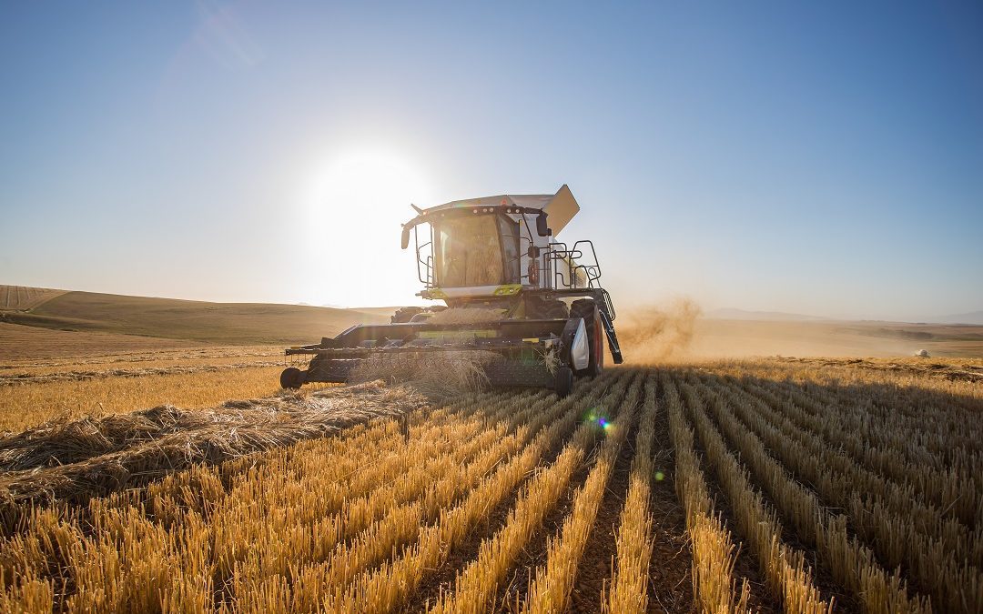 Lombardia imprese agricole, Rolfi a Bruxelles per sblocco misura 21 Psr – www.lombardianotizie.online