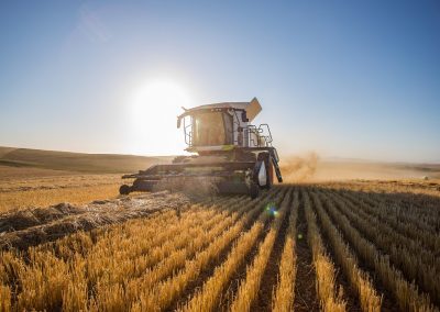 Lombardia imprese agricole, Rolfi a Bruxelles per sblocco misura 21 Psr – www.lombardianotizie.online