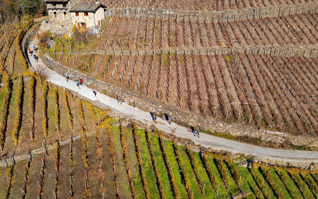Wine Trail 2022, grande sport per un percorso ricco di fascino – www.lombardianotizie.online